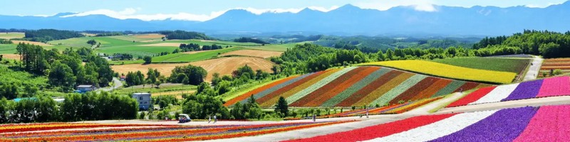 �X�g���X�����ɍœK!�f�X�N���[�N�ɔ�ꂽ�����K���́y�j�i�z�i�������c�A�[���T�C�g